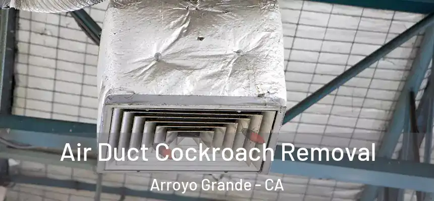  Air Duct Cockroach Removal Arroyo Grande - CA