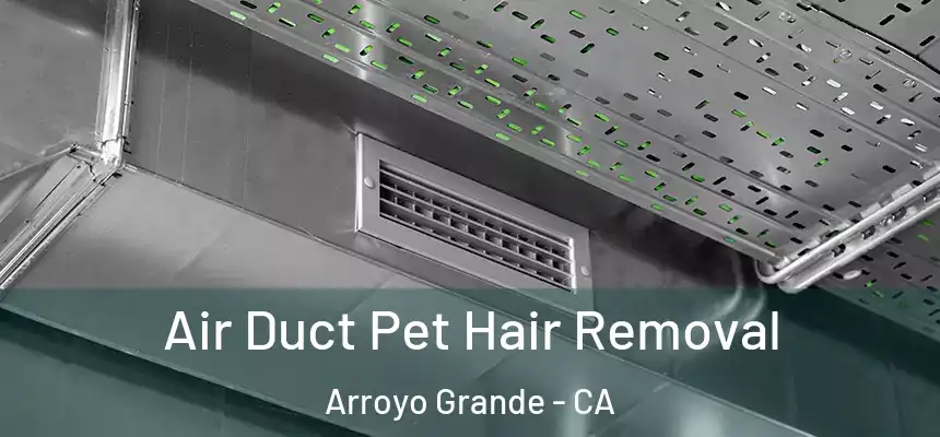  Air Duct Pet Hair Removal Arroyo Grande - CA