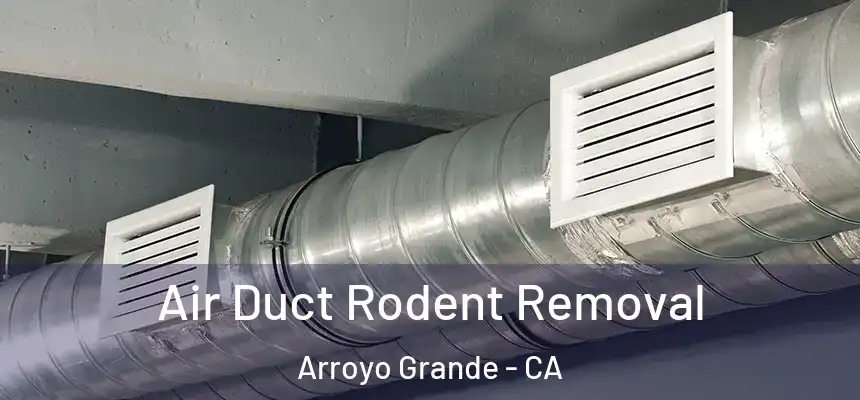  Air Duct Rodent Removal Arroyo Grande - CA