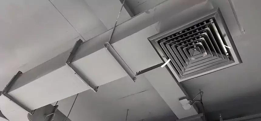 Restorative Allergy Relief Vent Cleaning – Coil, Blower & Housing Detail in Arroyo Grande