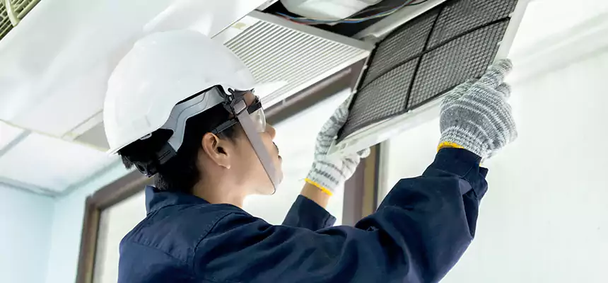 Our Mold & Mildew Removal from Air Ducts Services in Arroyo Grande, CA