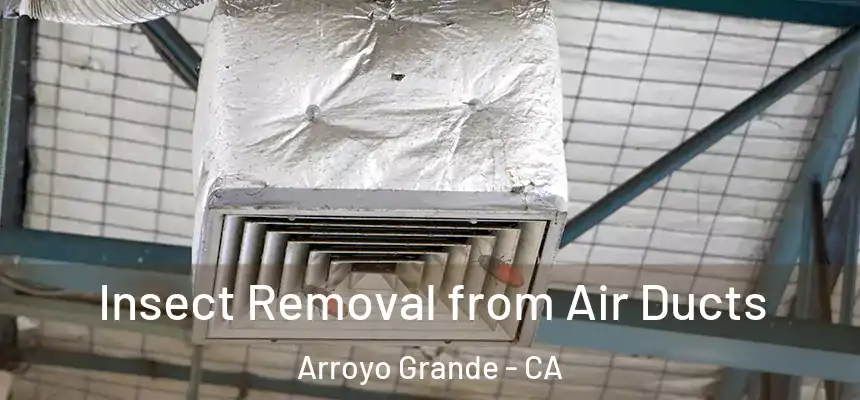  Insect Removal from Air Ducts Arroyo Grande - CA