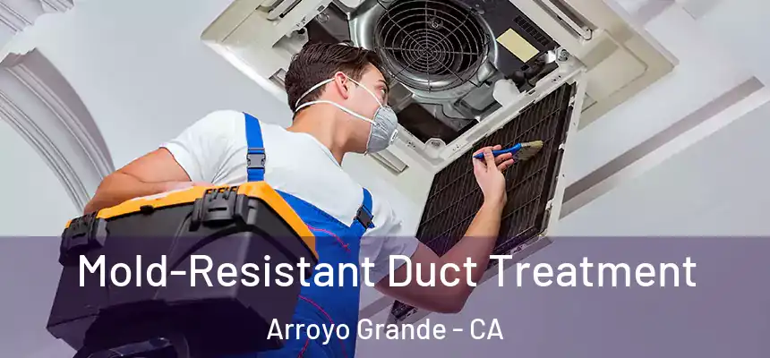  Mold-Resistant Duct Treatment Arroyo Grande - CA