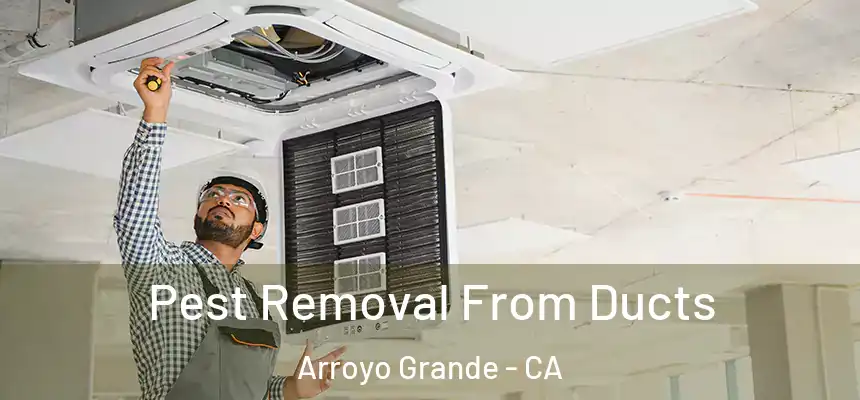  Pest Removal From Ducts Arroyo Grande - CA