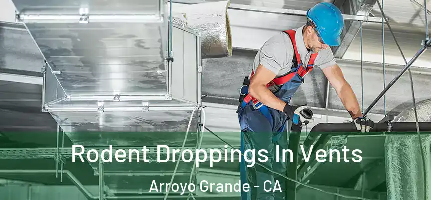  Rodent Droppings In Vents Arroyo Grande - CA