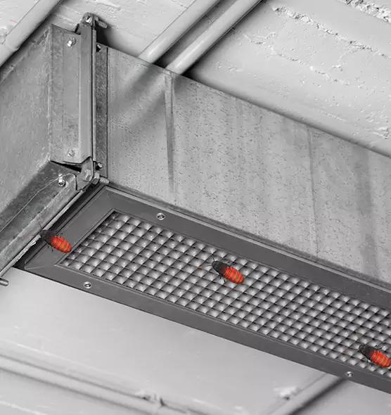 Affordable Insect Removal from Air Ducts in Arroyo Grande, CA