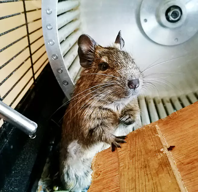 Why Homeowners & Businesses Trust Us Arroyo Grande, CA?