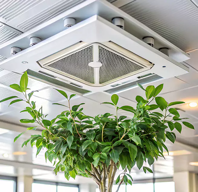 Why Homeowners & Businesses Trust Us in Arroyo Grande, CA?